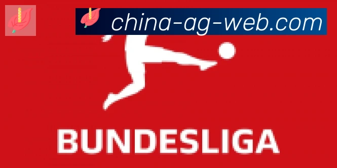 AG娱乐登录合作伙伴